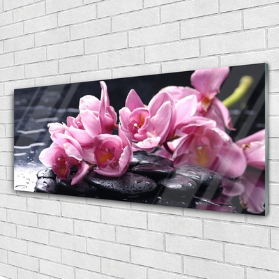 Quadro acrílico Planta de orquídea flor