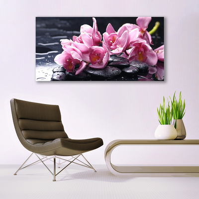 Quadro acrílico Planta de orquídea flor