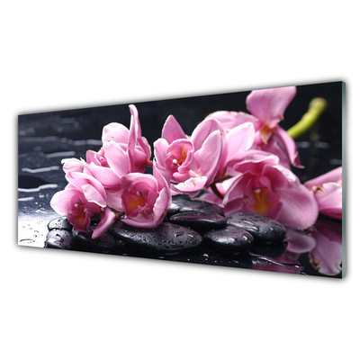 Quadro acrílico Planta de orquídea flor