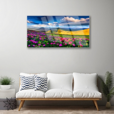 Quadro acrílico Flores do Prado Natureza Planta