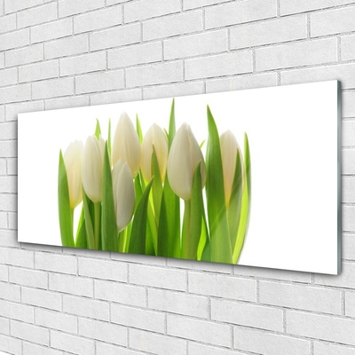 Quadro acrílico Tulipas Plantam Natureza
