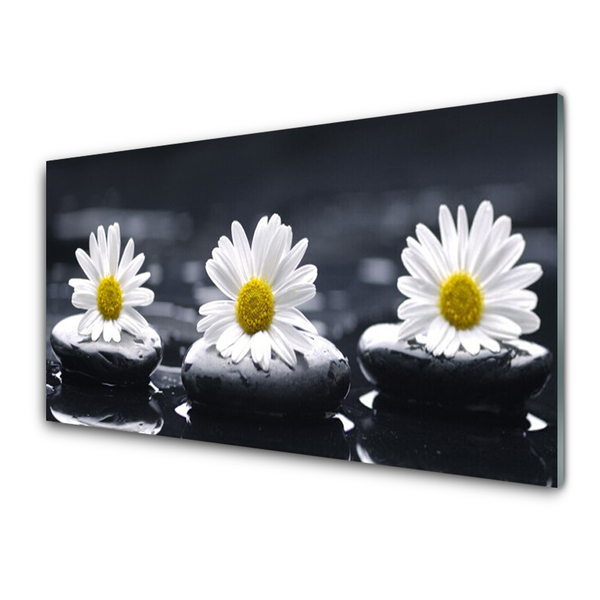 Quadro acrílico Planta Daisy Stones