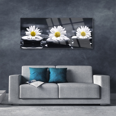 Quadro acrílico Planta Daisy Stones