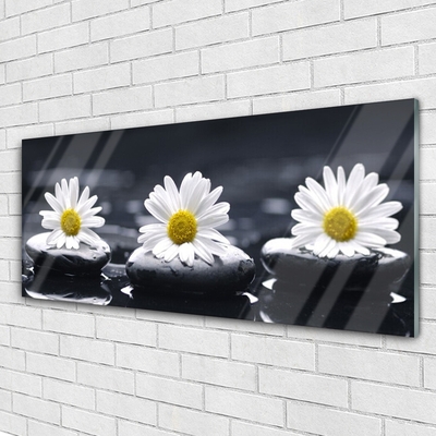 Quadro acrílico Planta Daisy Stones
