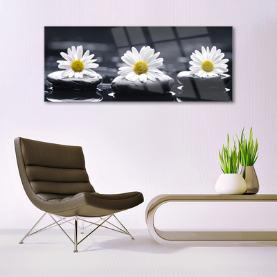 Quadro acrílico Planta Daisy Stones