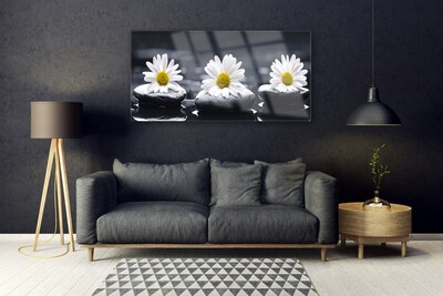 Quadro acrílico Planta Daisy Stones