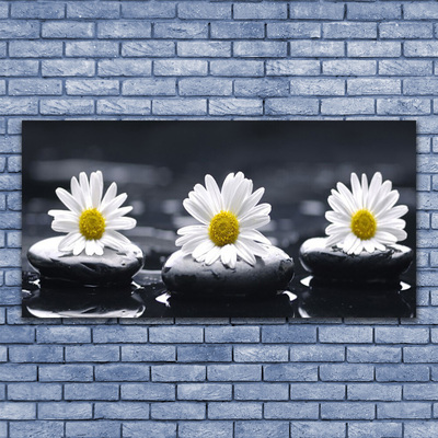 Quadro acrílico Planta Daisy Stones