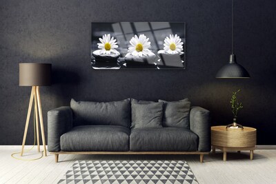 Quadro acrílico Planta Daisy Stones