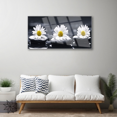 Quadro acrílico Planta Daisy Stones