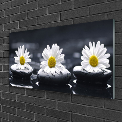 Quadro acrílico Planta Daisy Stones
