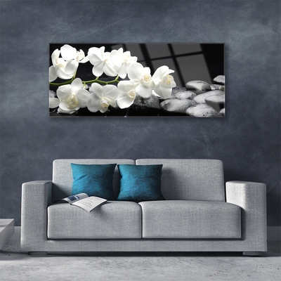 Pintura acrílica Planta de pedras de flores