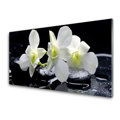 Quadro acrílico Flor de orquídea branca