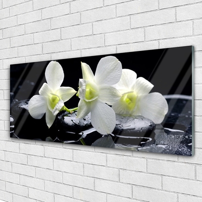 Quadro acrílico Flor de orquídea branca