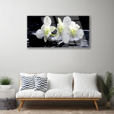 Quadro acrílico Flor de orquídea branca
