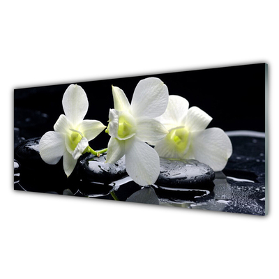 Quadro acrílico Flor de orquídea branca