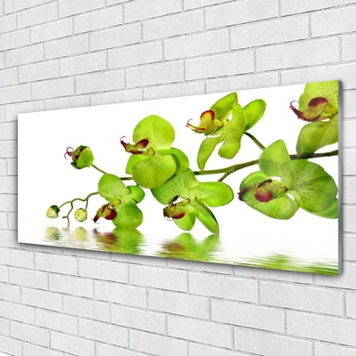 Quadro acrílico Flores Planta Natureza
