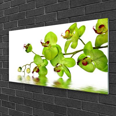 Quadro acrílico Flores Planta Natureza