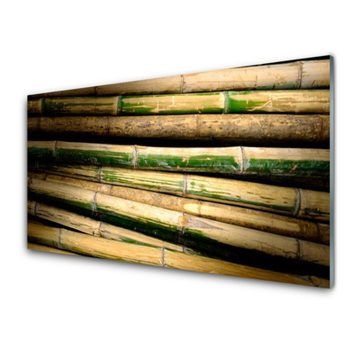 Quadro acrílico Natureza da planta de bambu