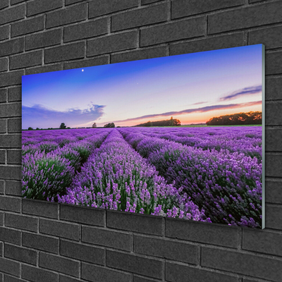 Pintura acrílica Flores do Prado Natureza Planta