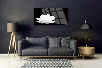 Quadro acrílico Flor Planta Natureza