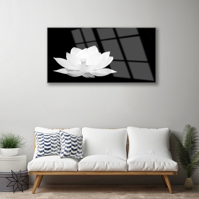 Quadro acrílico Flor Planta Natureza