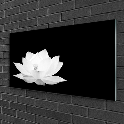 Quadro acrílico Flor Planta Natureza