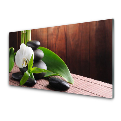 Quadro acrílico Spa Flor Orquídea