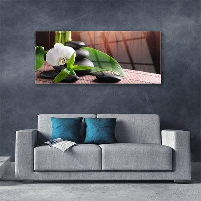 Quadro acrílico Spa Flor Orquídea