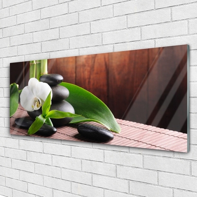 Quadro acrílico Spa Flor Orquídea
