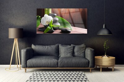 Quadro acrílico Spa Flor Orquídea