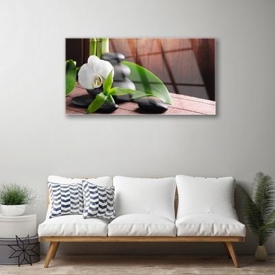 Quadro acrílico Spa Flor Orquídea