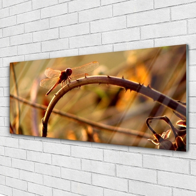 Quadro acrílico Planta da Natureza da Libélula