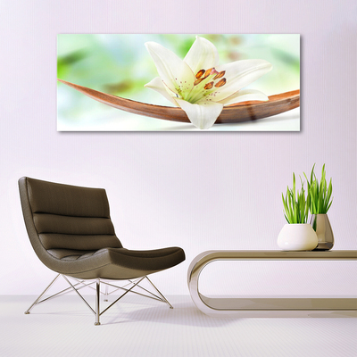 Quadro acrílico Flor Planta Natureza