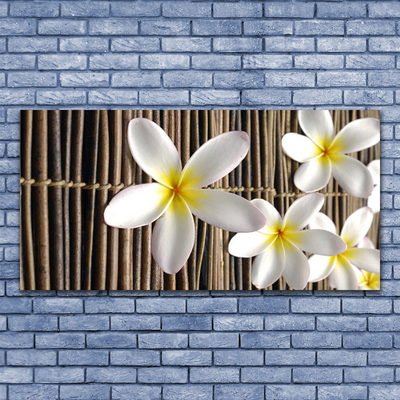 Quadro acrílico Flores Planta Natureza