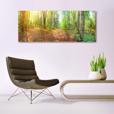 Quadro acrílico Floresta Natureza Árvores