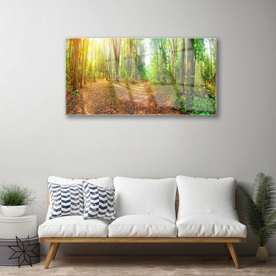Quadro acrílico Floresta Natureza Árvores