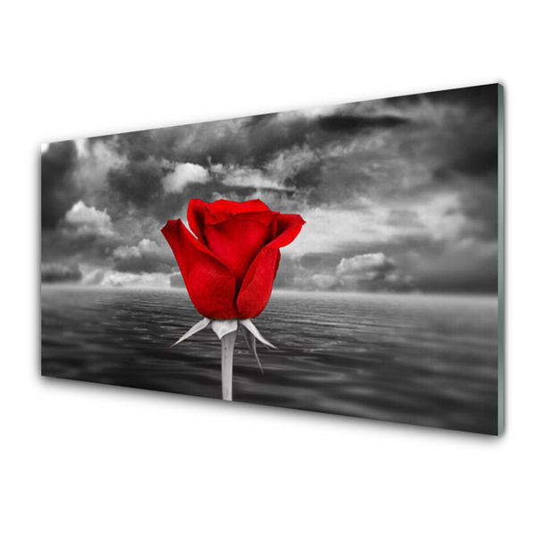 Quadro acrílico Planta Flor Rosa Mar
