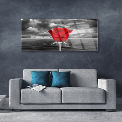 Quadro acrílico Planta Flor Rosa Mar