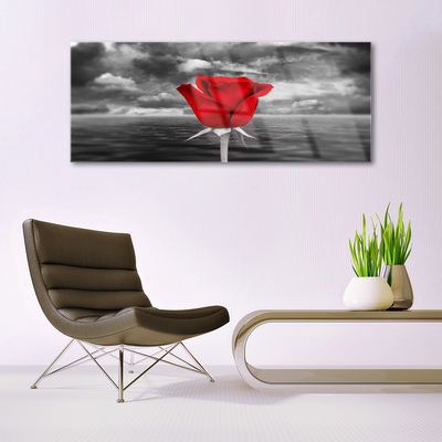 Quadro acrílico Planta Flor Rosa Mar