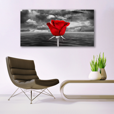 Quadro acrílico Planta Flor Rosa Mar