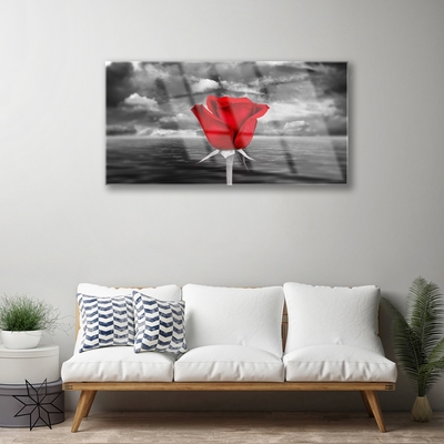 Quadro acrílico Planta Flor Rosa Mar