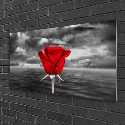 Quadro acrílico Planta Flor Rosa Mar