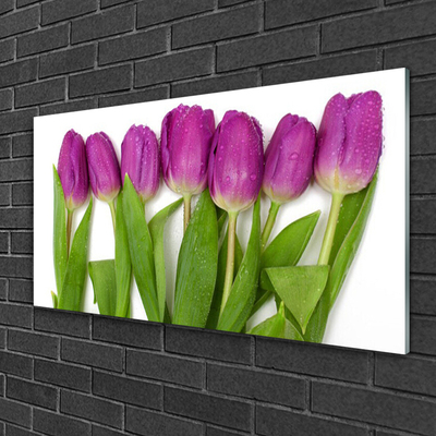 Pintura acrílica Tulipas Flores Planta