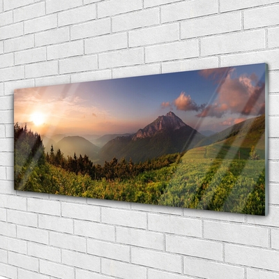 Quadro acrílico Natureza da Floresta da Montanha