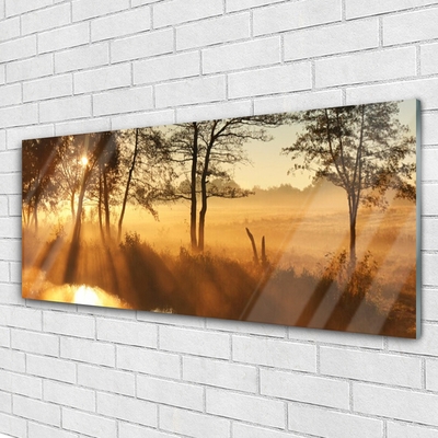 Quadro acrílico Árvores Natureza