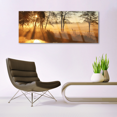 Quadro acrílico Árvores Natureza