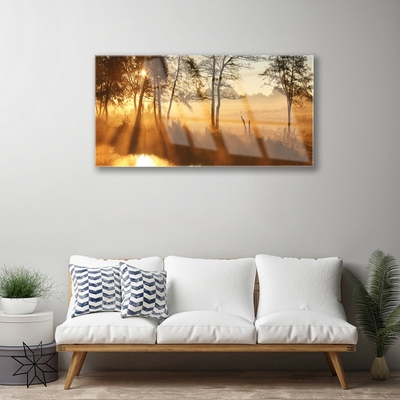 Quadro acrílico Árvores Natureza