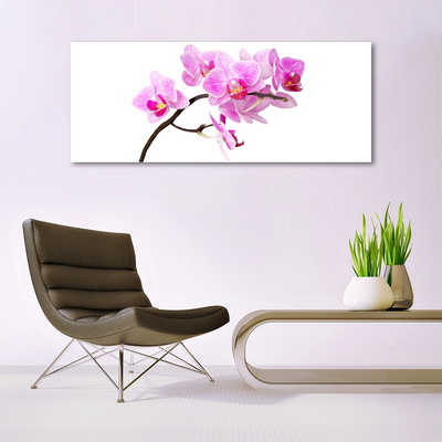 Quadro acrílico Flores Planta Natureza