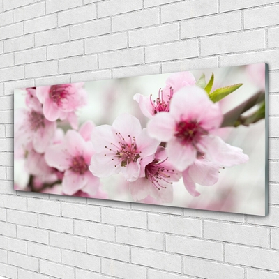 Quadro acrílico Flores Planta Natureza