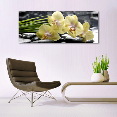 Pintura acrílica Flores Planta Natureza